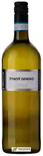 Domaine Endrizzi - Pinot Grigio delle Venezie