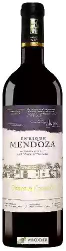 Domaine Enrique Mendoza - Finca el Curatón