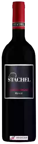 Domaine Erich Stachel - Kirchenstück Merlot