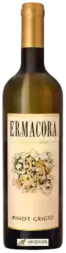 Domaine Ermacora - Pinot Grigio