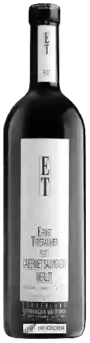 Domaine Ernst Triebaumer - Rust Cabernet Sauvignon - Merlot Trocken