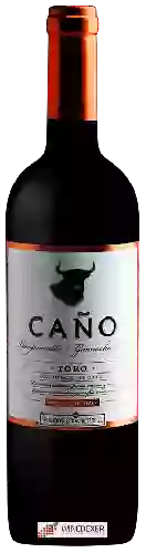 Domaine Bajoz - Caño Tempranillo - Garnacha Toro