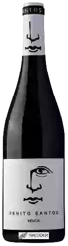 Domaine Benito Santos - Mencia