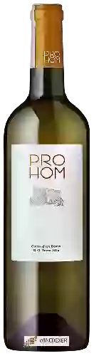 Domaine Coma d'En Bonet - Prohom Blanco