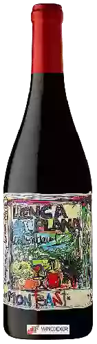 Domaine Terra de Falanis - Llenca Plana Montsant