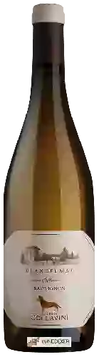 Domaine Collavini - Blancfumat Sauvignon (Collezione Privata i Poderi)