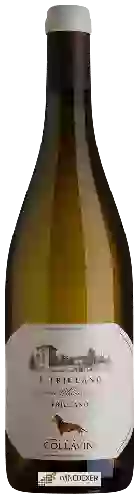 Domaine Collavini - T-Friulano