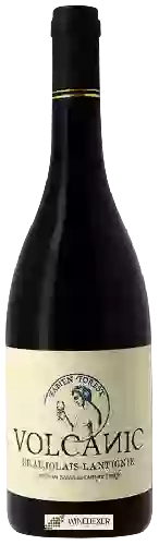 Domaine Fabien Forest - Volcanic Beaujolais-Lantignié