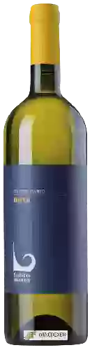 Domaine Fabio Motta - Nova Bolgheri Blanco