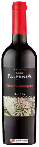 Domaine Falernia - Cabernet Sauvignon