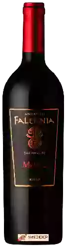 Domaine Falernia - Malbec Reserva