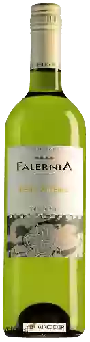 Domaine Falernia - Pedro Ximenez