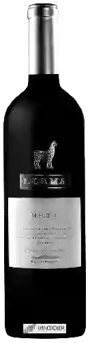 Domaine Belasco de Baquedano - Llama Roble Malbec