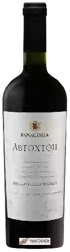 Domaine Fanagoria (Фанагория) - Автохтон Цимлянский Чёрный (Autochthon Tsymlyansky Cherny)