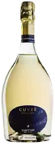 Domaine Farnese - Fantini Cuvée Cococciola