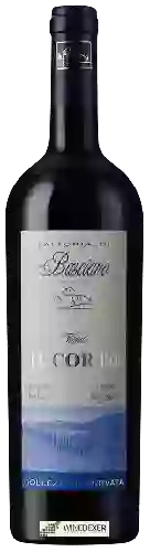 Domaine Fattoria di Basciano - Vigna Il Corto