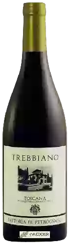 Domaine Fattoria di Petrognano - Trebbiano