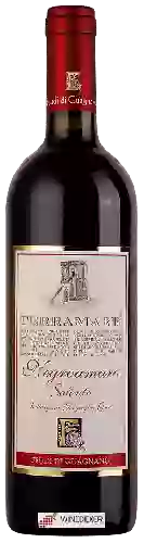 Domaine Feudi di Guagnano - Terramare Negroamaro