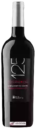 Domaine Feudi Salentini - 125 Uno Due Cinque Negroamaro del Salento