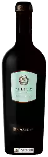 Domaine Feudo Antico - Tullum Passerina