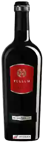 Domaine Feudo Antico - Tullum Rosso