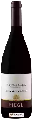 Domaine Fiegl - Cabernet Sauvignon Venezia Giulia