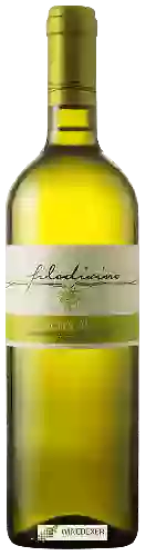 Domaine Filodivino - Serra 46 Verdicchio dei Castelli di Jesi Classico