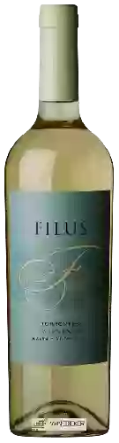 Domaine Filus - Torrontés