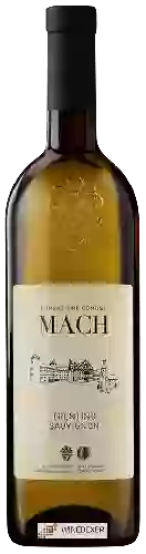 Domaine Fondazione Edmund Mach - Sauvignon Trentino