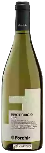 Domaine Forchir - Lamis Pinot Grigio