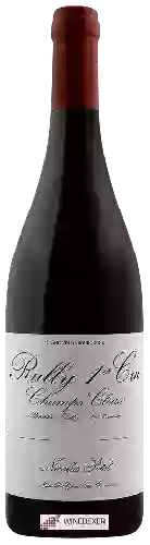 Domaine Nicolas Potel - Rully 1er Cru 'Champs Cloux'