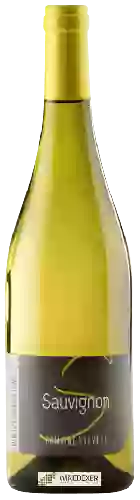 Domaine Sauvète - Sauvignon