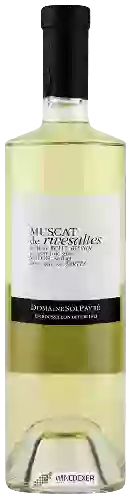 Domaine Sol Payré - Muscat de Rivesaltes