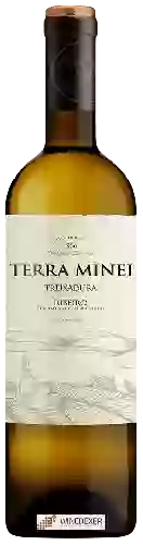 Domaine Adegas Francisco Fernández - Terra Minei