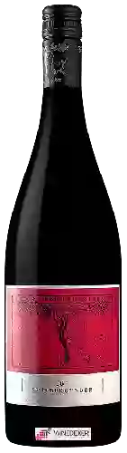 Domaine Friedrich Becker - Spätburgunder 'B'