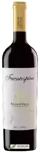 Bodegas Fuentespina - Reserva Ribera del Duero