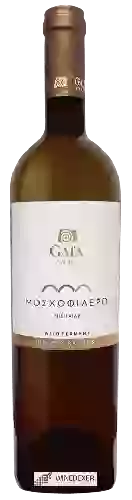 Domaine Gaía - Μοσχοφίλερο (Moschofilero) by Gaia Wild Ferment