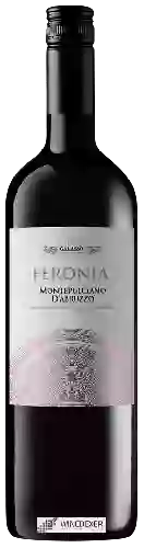 Domaine Galasso - Feronia Montepulciano d'Abruzzo