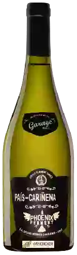 Domaine Garage Wine Co - País-Cariñena (Phoenix Ferment)