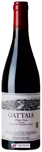 Domaine Terre di Giotto - Gattaia Pinot Nero