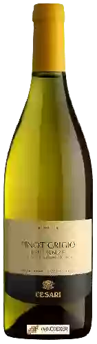 Domaine Cesari - Fiorile Pinot Grigio delle Venezie