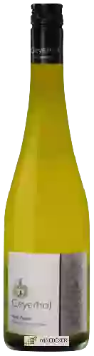 Domaine Geyerhof - Ried Zasen Weisser Burgunder