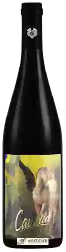 Domaine Giefing - Cavallo Pinot Noir Trocken