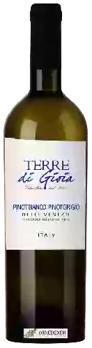 Domaine Terre di Gioia - Pinot Bianco - Pinot Grigio delle Venezie