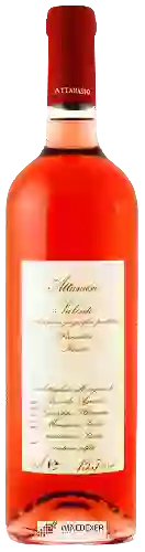 Domaine Attanasio - Primitivo Salento Rosato