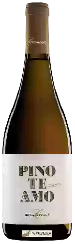 Domaine Gramona - Pinoteamo