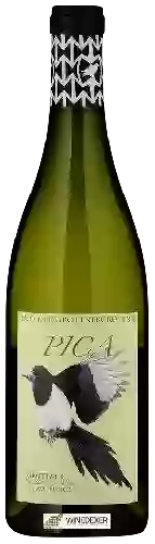 Domaine Grottner - Pica Weissburgunder