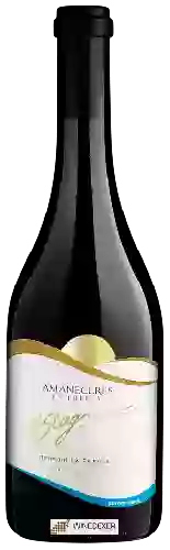 Domaine H. Stagnari - Amaneceres la Puebla Chardonnay