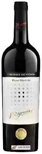 Domaine H. Stagnari - Primer Viñedo 1x1 Cabernet Sauvignon