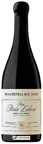 Domaine Hacienda Solano - Peña Lobera